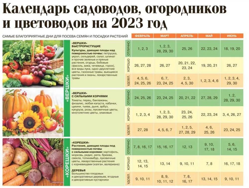 Помидоры рассада в марте 2023 года. Таблица садовода и огородника посевной. Календарь рассады. Посевной календарь таблица. Лунный календарь для рассады.