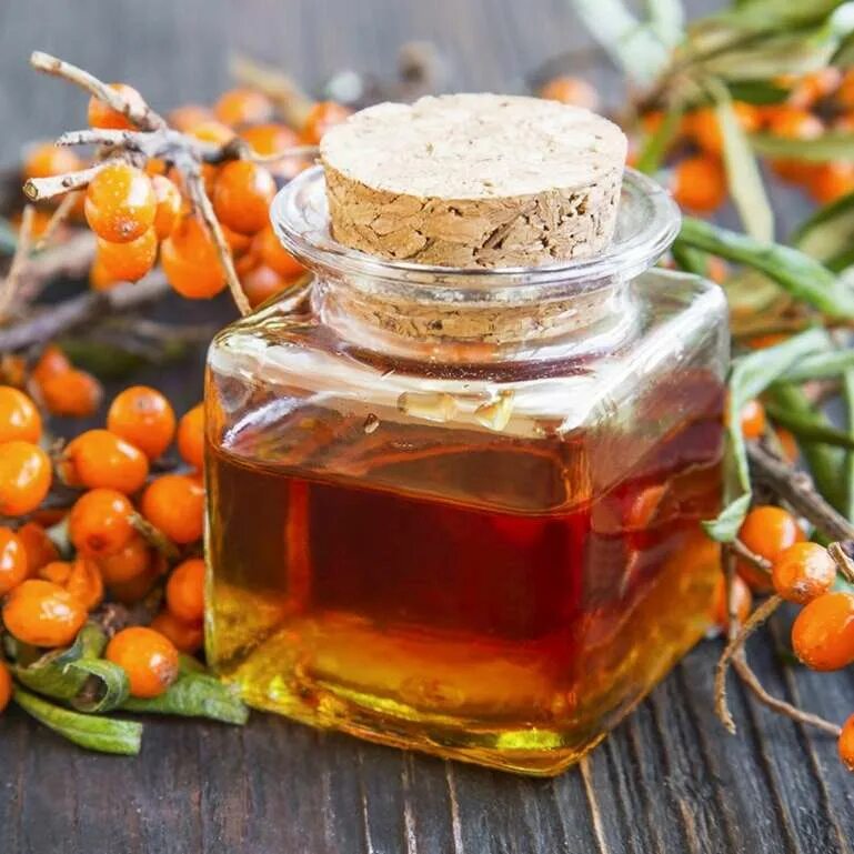 Севан облепиха. Облепиховый РАФ. Sea Buckthorn. Доктор облепиха. Как приготовить облепиховое масло