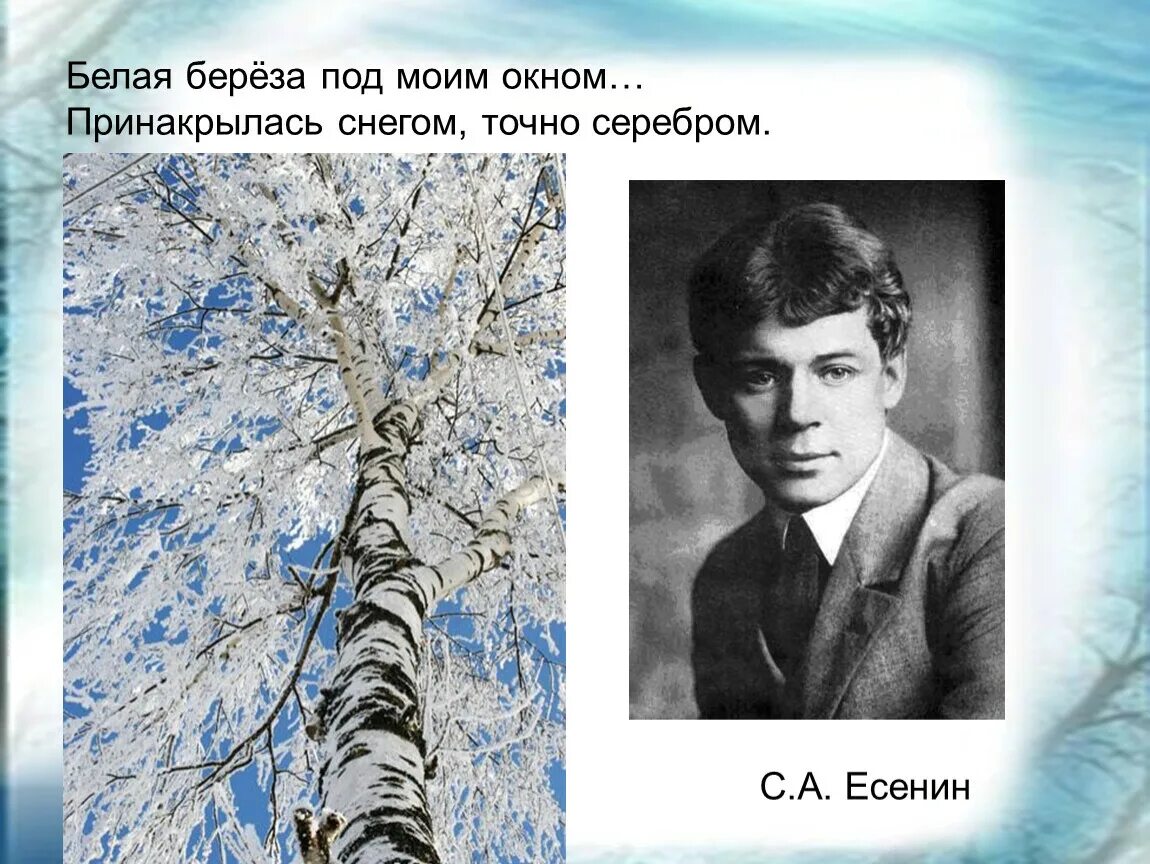 «Берёза»( 1913) Есенин. Есенин белая береза. Стихи есенина снег