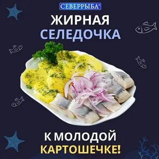 Рыбы череповец