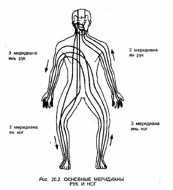 12 энергетических меридианов человека. меридианы схемы и направления. энергетические меридианы тела человека схема. энергетические меридианы. меридианы в китайской медицине схема.