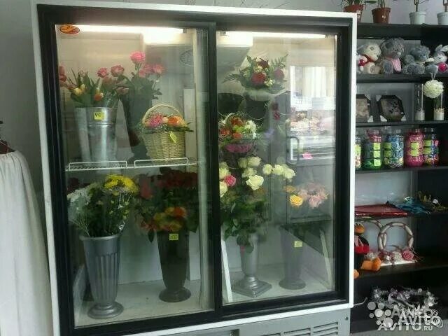 Температура в цветочном холодильнике. Холодильник для цветов. Холодильный шкаф для цветов. Холодильники для цветов витрина. Маленькие холодильные шкафы для цветов.