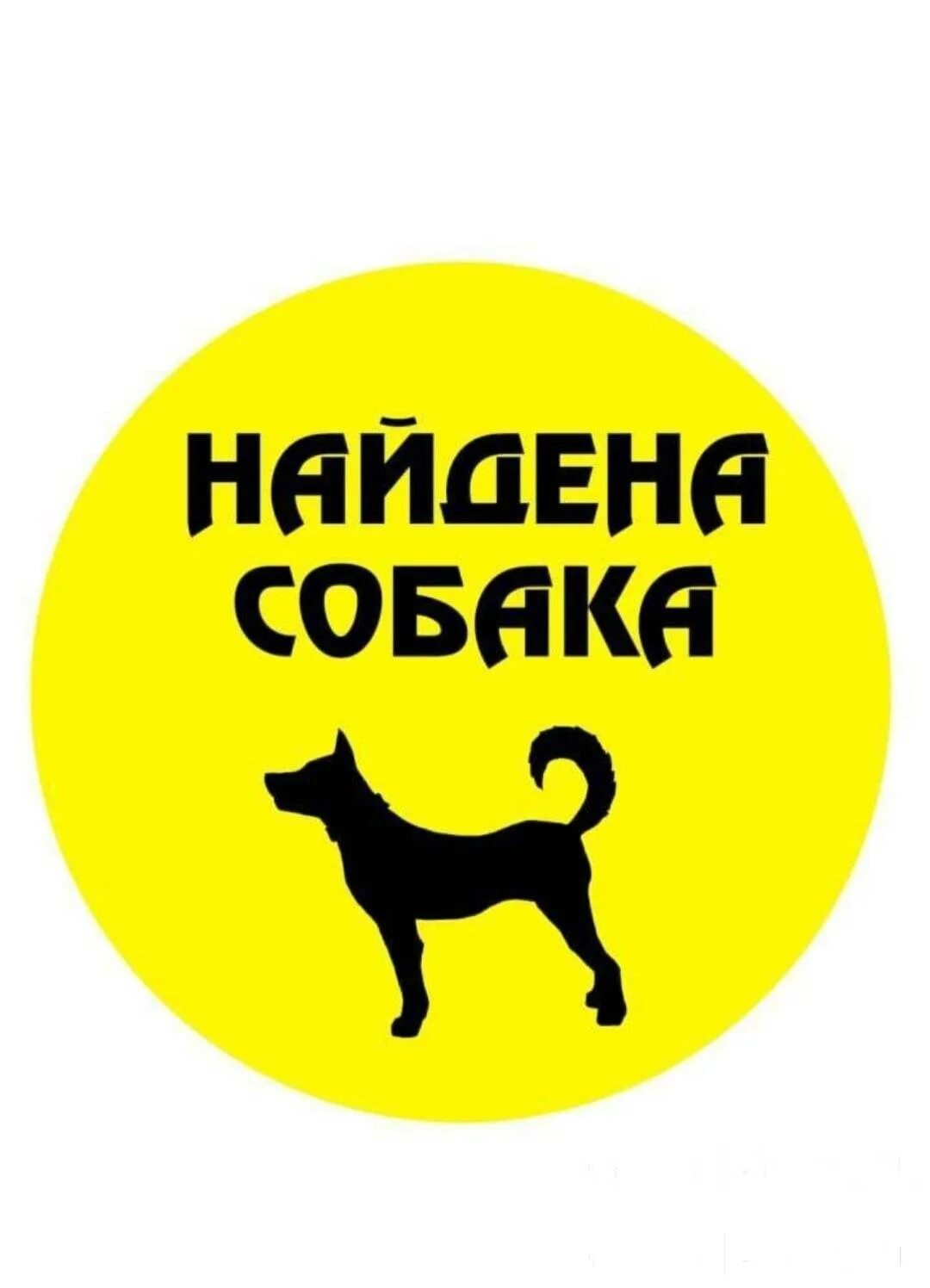 Щенок ищет хозяев. Внимание найдена собака. найдена собака хозяин отзовись. найдена собака ищем хозяев. помогите на корм животным.