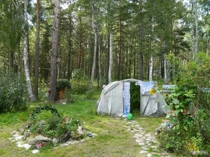 Погода в баюновских ключах