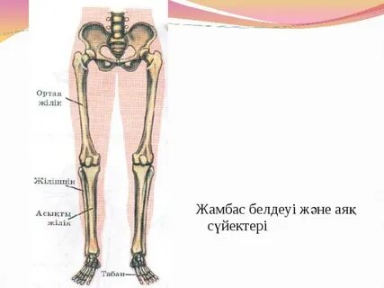 Нағыз жасырын камерада нағыз мастурбация