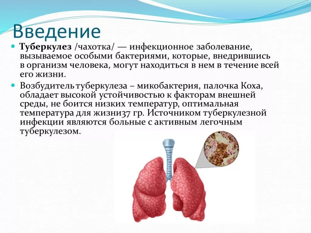 Презентация про туберкулез