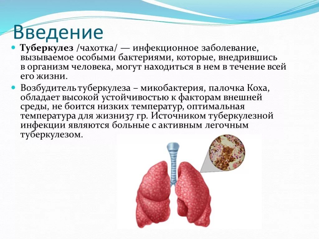 Туберкулез биология. Туберкулез презентация. Прицентация на тему туберкулёз. Туберкулез у детей презентация. Туберкулез это инфекционное заболевание.