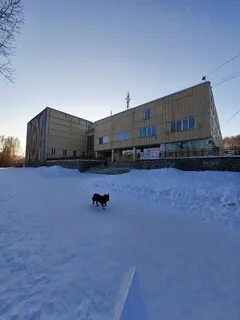 Большая ирба красноярский край