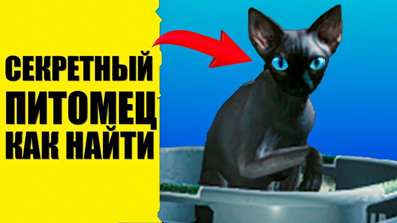Как приручить кота в киберпанк. Киберпанк кошачий корм. секретный питомец киберпанк. киберпанк приручить кота. где найти кота в киберпанк.
