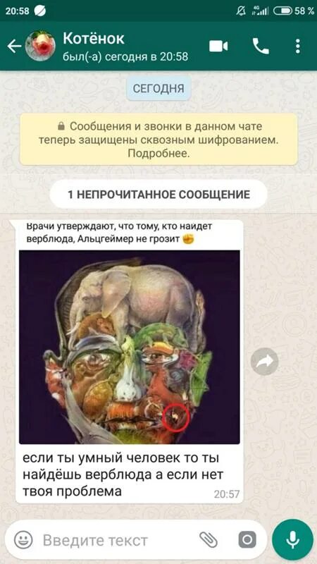 Тест на альцгеймера найти верблюда. Тест на альцгеймера найти верблюда