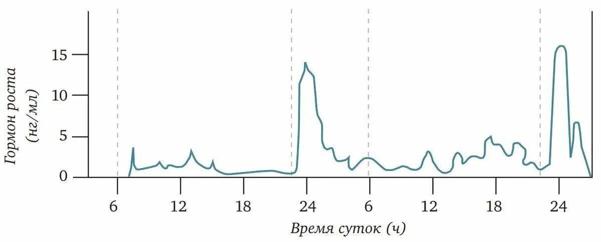 Кортизон. Повышение уровня кортизола. Кортизол гормон за что отвечает. Кортизол. Суточные колебания кортизола.