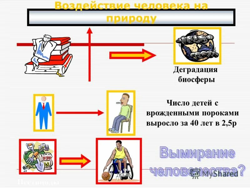 Соответствующий действиям человек. Деградация биосферы. Причины региональной деградации биосферы. Демографический взрыв как деградация биосферы.