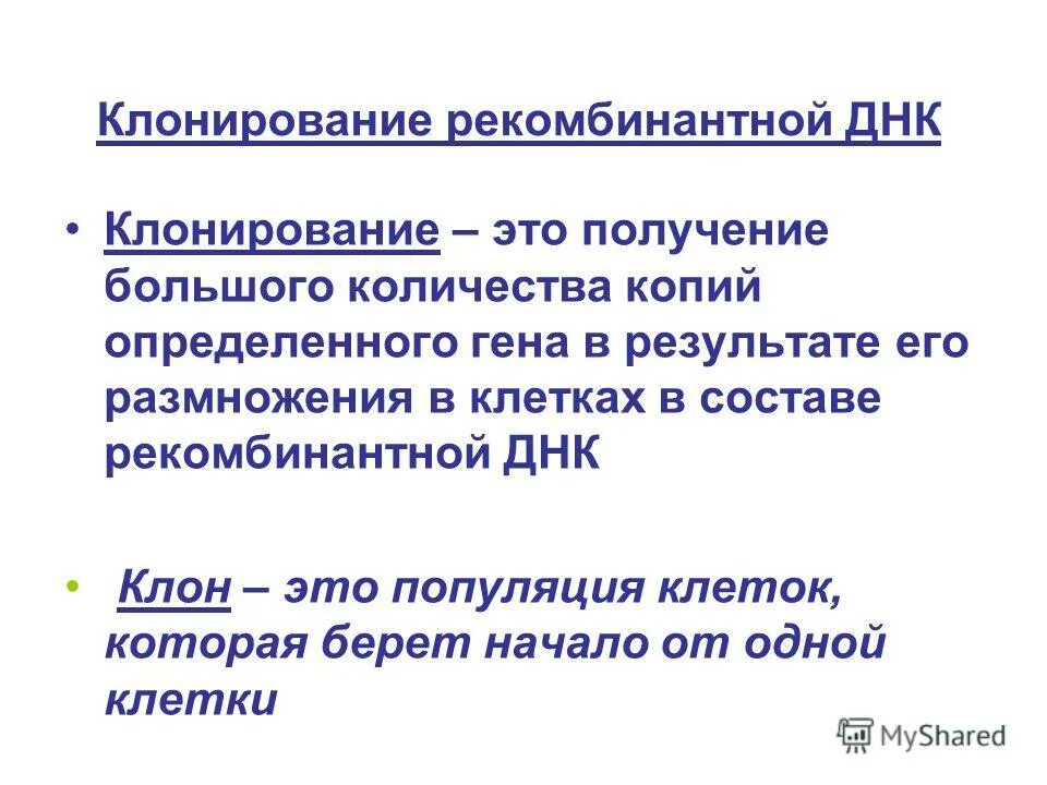 популяция микроорганизмов это. популяция клонов. серовары бактерий. классификация бактерий род вид. клонирование днк.