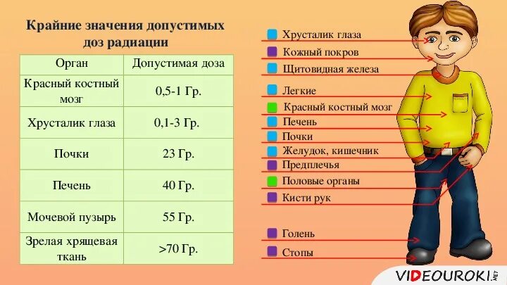 Степени лучевой болезни. Острая лучевая болезнь проявление. Лучевая болезнь стадии и симптомы.