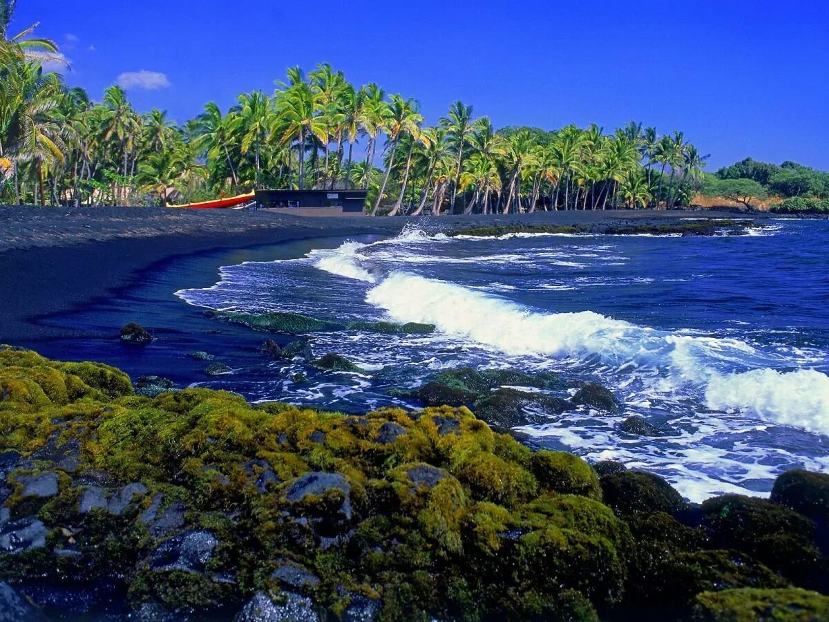 Пуналуу Гавайи. Пляж Пуналуу Гавайи. Остров Биг Айленд Гавайи. Гавайи рай на земле. Природные ресурсы острова