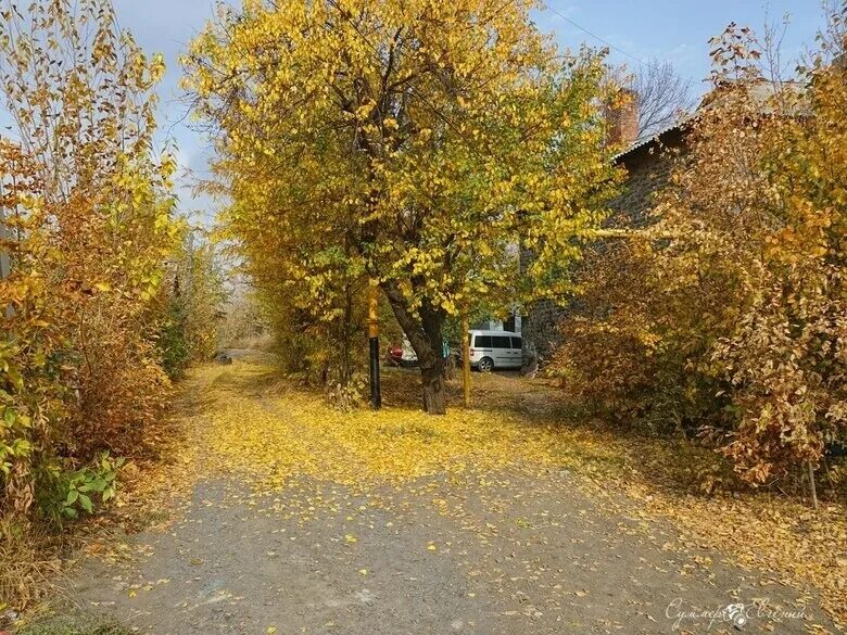 Погода в новошахтинске на 2