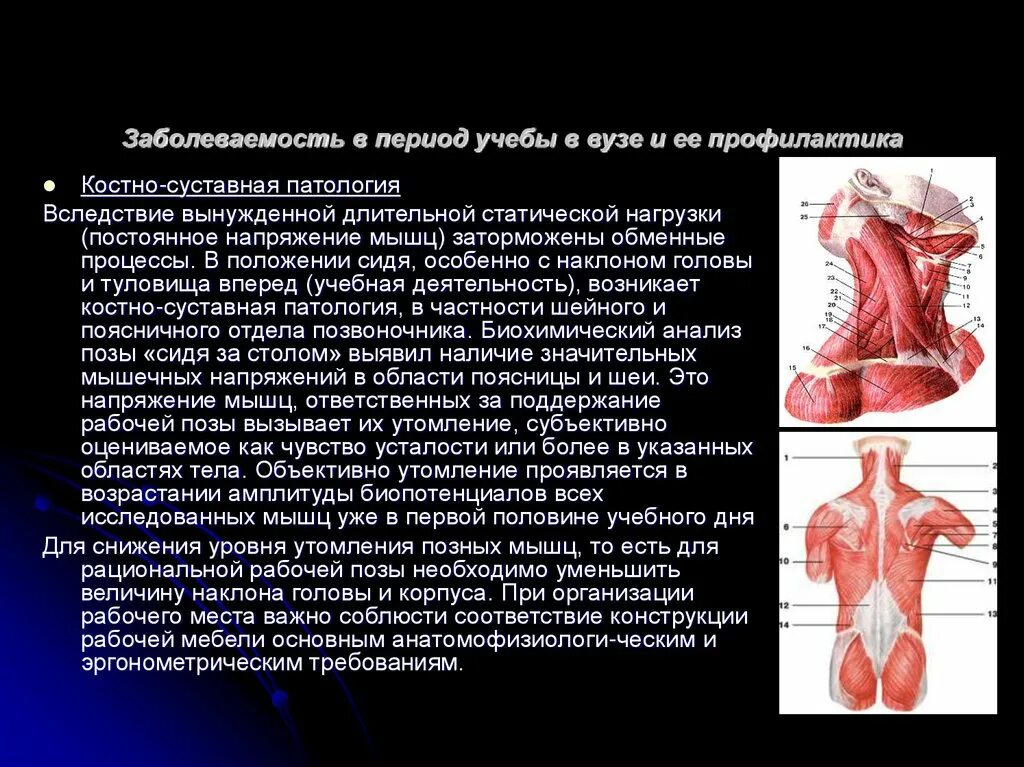 Заболевания возникают в результате длительной статической нагрузки. Профилактика болезней костно-мышечной системы. План профилактики заболеваний костно мышечной системы. Профилактика костно мышечной системы и соединительной ткани. Первичная профилактика костно мышечной системы.