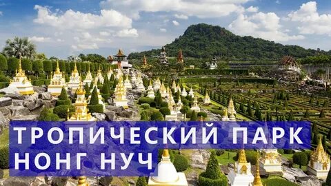 Экскурсии в паттайе 2024