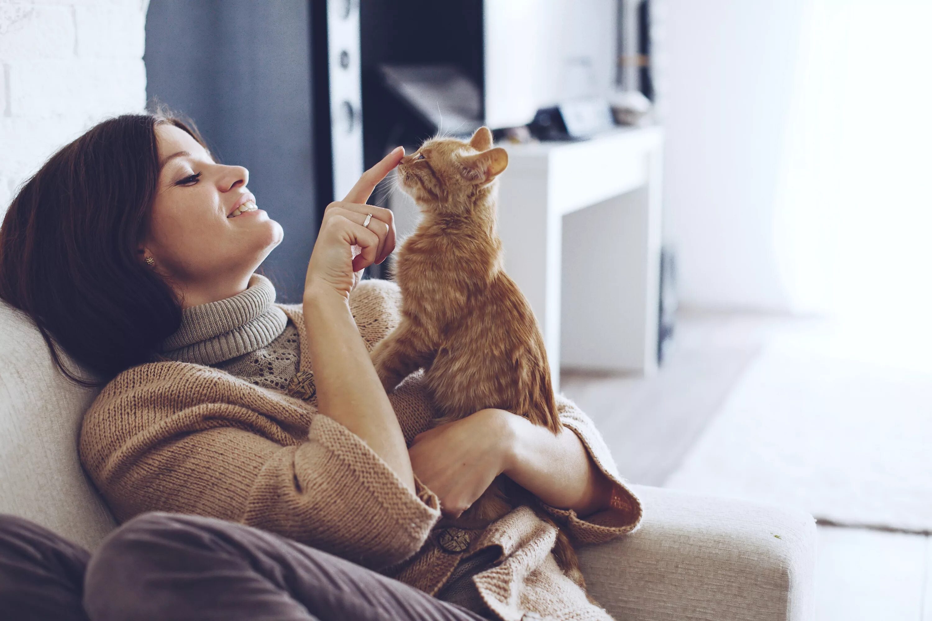 Кот привыкает к хозяевам. Девушка с котенком. девушка с рыжим котом. девушка с кошкой на руках. фотосессия с кошкой.