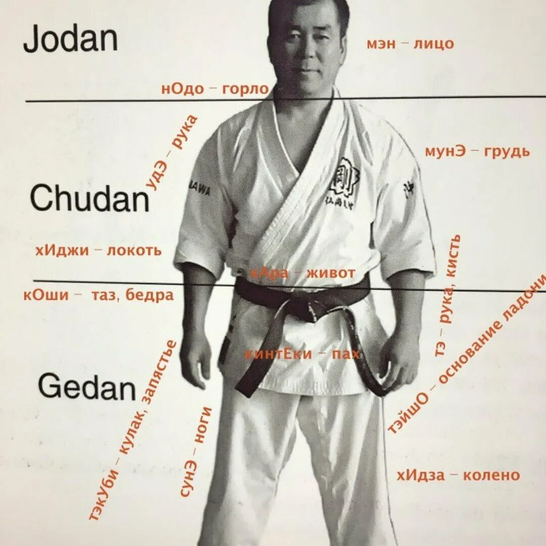 Карате что значит. Стойка каратэ Шотокан. Термины каратэ киокушинкай. Джодан чудан гедан.