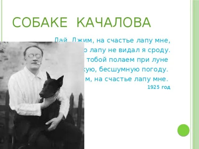 Собаке Качалова Есенин. Собака Качалова порода Джим. Дай Джим на счастье лапу мне стих. Стихотворение собаке Качалова. Стихотворение дай джим