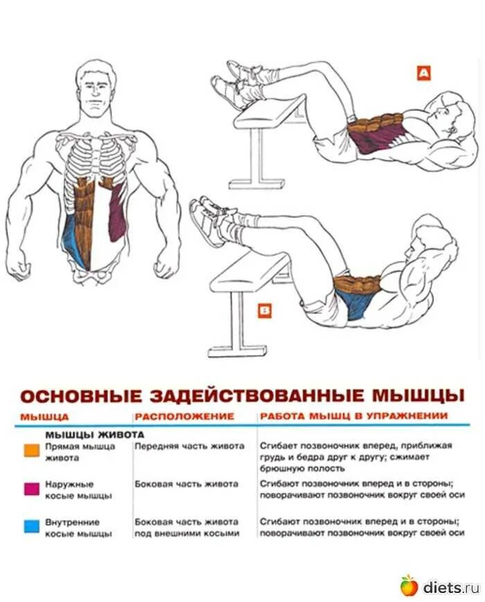 Как убрать живот и накачать пресс мужчине. Как прокачать мышцы живота. Скручивание туловища с голенью на скамье. Упражнения на пресс. Упражнения для мышц пресса.