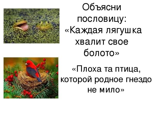 Пословица всяк кулик свое болото. Каждая лягушка хвалит свое болото поговорка. Кажная залмит свое болото. Поговорка каждый хвалит свое болото. Поговорка всяк свое болото хвалит.