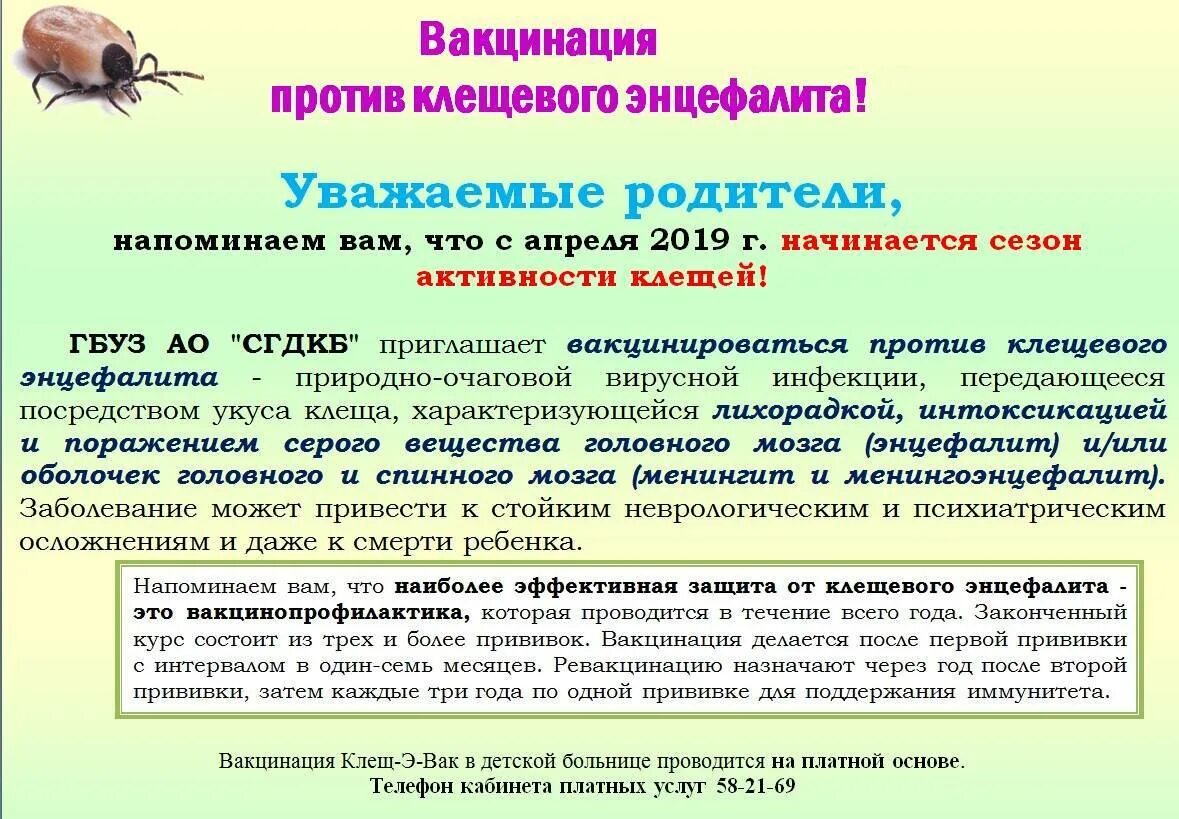 Вакцина клещ-э-вак схема вакцинации. Прививка о клещевого энцефалита схема вакцинации. Защищает ли прививка от клещевого энцефалита. Защищает ли прививка от клещевого энцефалита. Схема вакцинации от клещевого энцефалита энцевир.