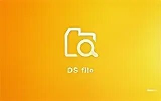 Ds file. Ds file