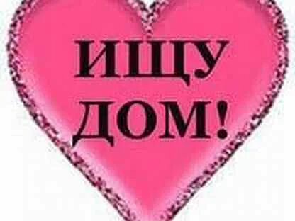 Ищу любящую семью