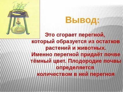 Одинаковое количество перегноя содержится в почве