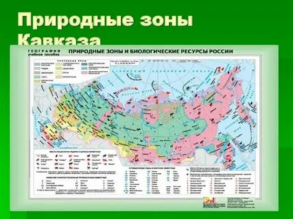 Зона севера это