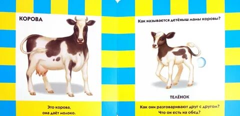 Мне захотелось узнать чьи это детеныши