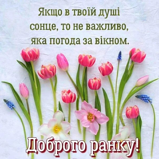 Открытки на украинском языке доброго дня. Вітання доброго ранку. Доброго ранку на украинском языке. Открытки гарного дня на украинском языке. Открытки с добром на украинском языке