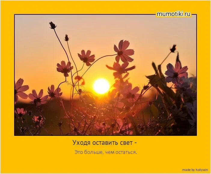 Стихи галины волчек уходя оставьте. Уходя оставьте свет стихи. Уходя оставьте свет стихи. Уходя оставьте свет стихи. Стихотворение галины волчек.