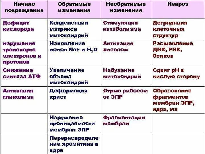 Обратимые и необратимые повреждения. Обратимые и необратимые изменения клеток. Обратимые повреждения клеток. Обратимые и необратимые повреждения клеток и тканей.