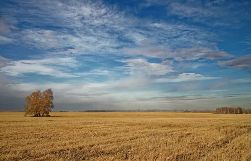 Гора чатыр тау татарстан. Степь оренбургской области осенью. Лесостепи,луга орловщины. Тыва степь. Донские степи ростовской области осенью.