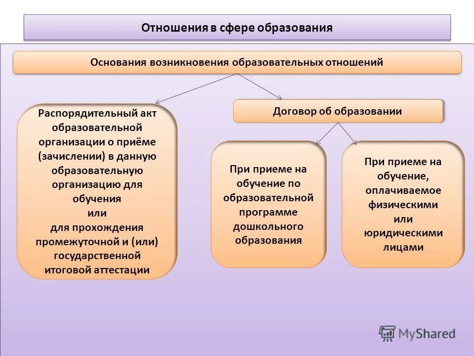 договор об образовании является необходимым условием. договор об образовании заключается в простой письменной форме между. договор об образовании это определение. порядок приема на обучение. основанием для изменения образовательных отношений является:.