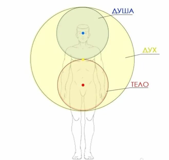 Дух, душа и тело. Человек дух душа тело. Дух душа тело разум. Дух душа личность тело.