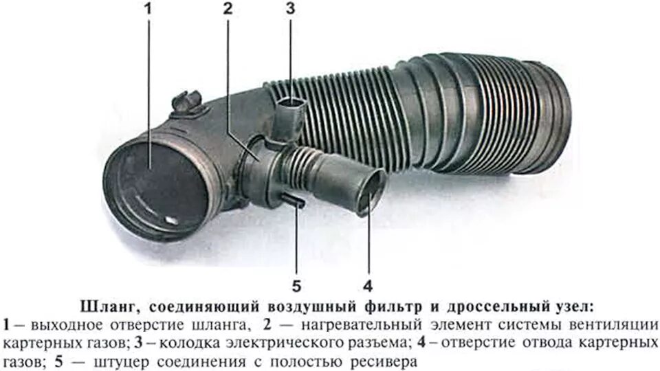 Гофра схема. Патрубок воздушного фильтра Octavia Tour 1.6. Клапан вентиляции картерных газов гольф 4 1.6 АКЛ.