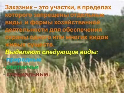 Заказник это