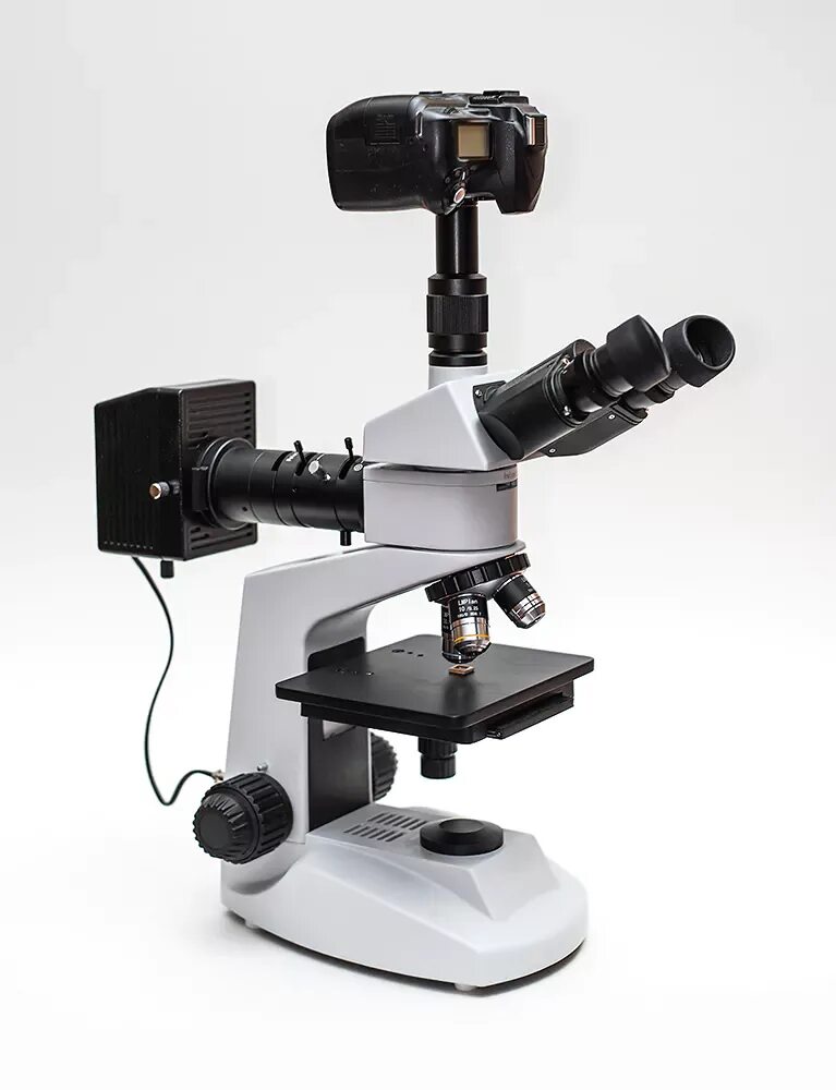 Microscope camera