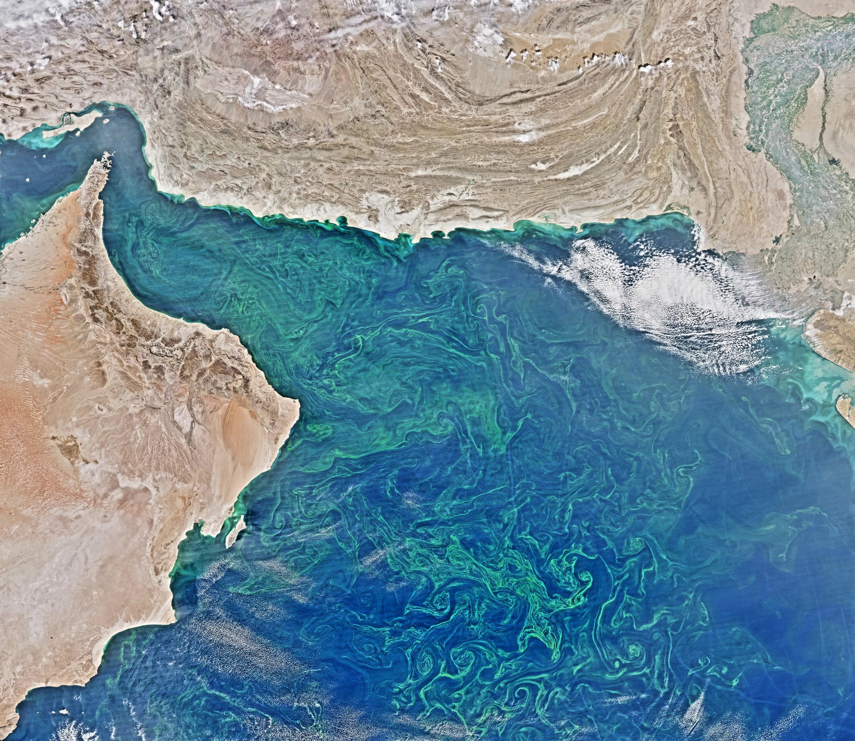 Река инд бассейн какого океана. Рельеф дна Аравийского моря. Оманский залив индийский океан. Аравийское море.