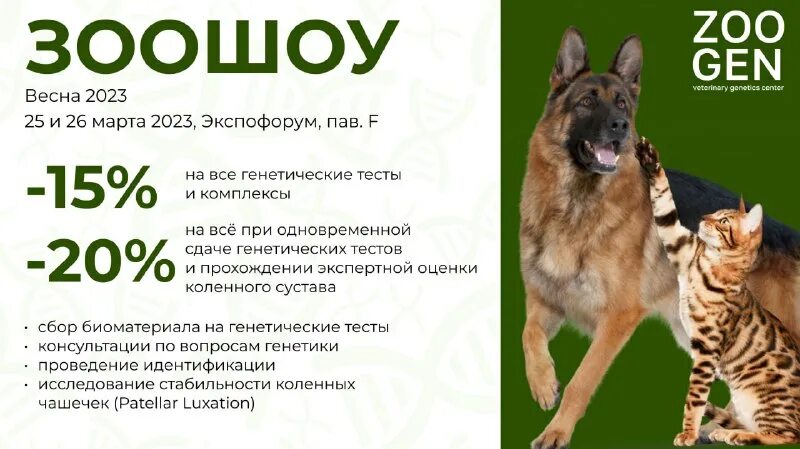 зоошоу 2024 зима