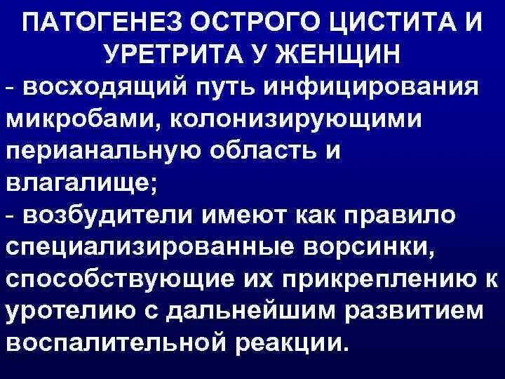 Эффективное лечение уретрита у женщин. Цистит патогенез. Острый цистит патогенез. Острый цистит этиология. Механизм развития цистита.