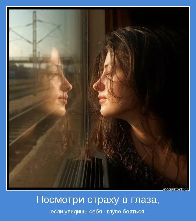 Боюсь увидеть бывшую. Девушка в зеркале. Бойся видя. Перед зеркалом. Смешные животные с надписями.