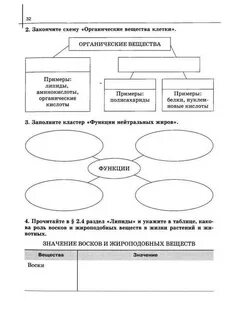 Заполните схему органические вещества