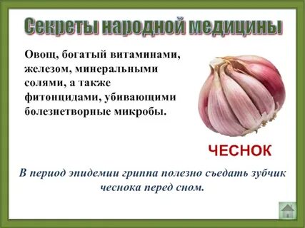 Чеснок полезные свойства