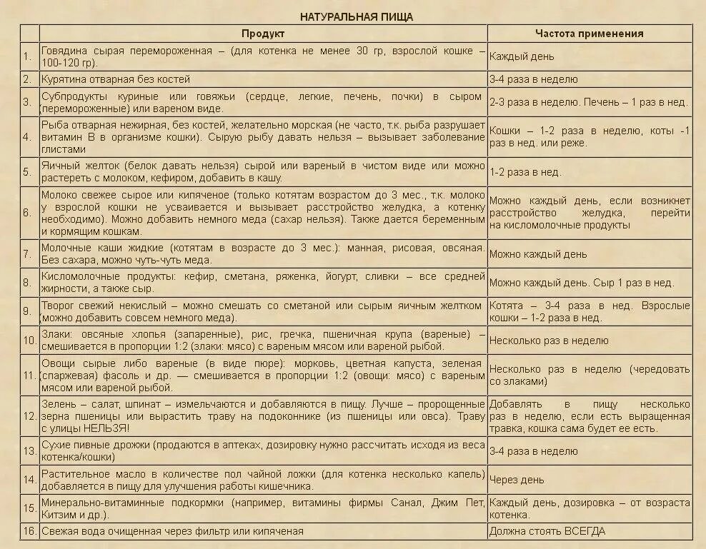 Сколько еды нужно кошке. Рацион питания котенку 1.5 месяца британец. Рацион питания котенка 2-3 месяца. Рацион питания для котенка 5 месяцев. Сколько кормить котенка 5 месяцев.