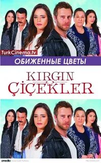 Турецкий обиженный цветы на русский язык